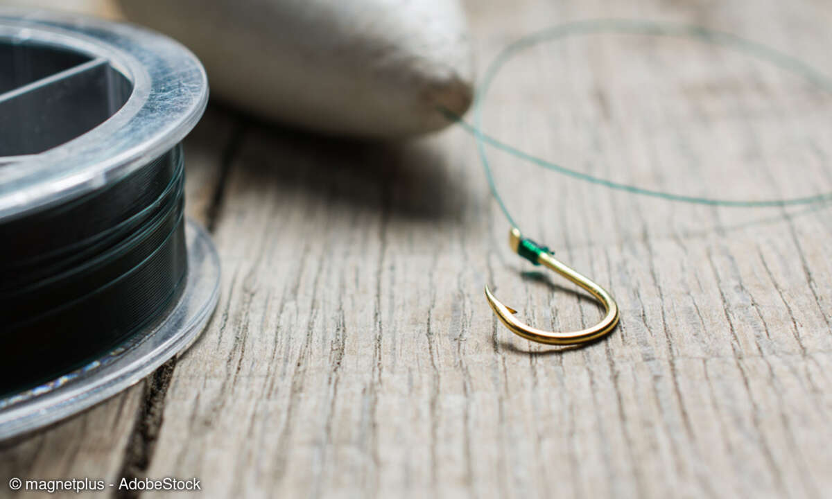 Fishing for Subscribers