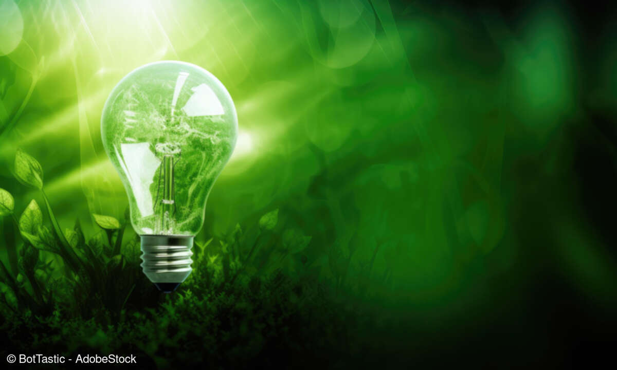 Grüne Idee