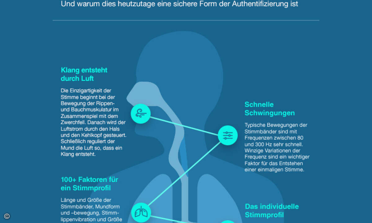 Stimmbiometrie-Physiologie
