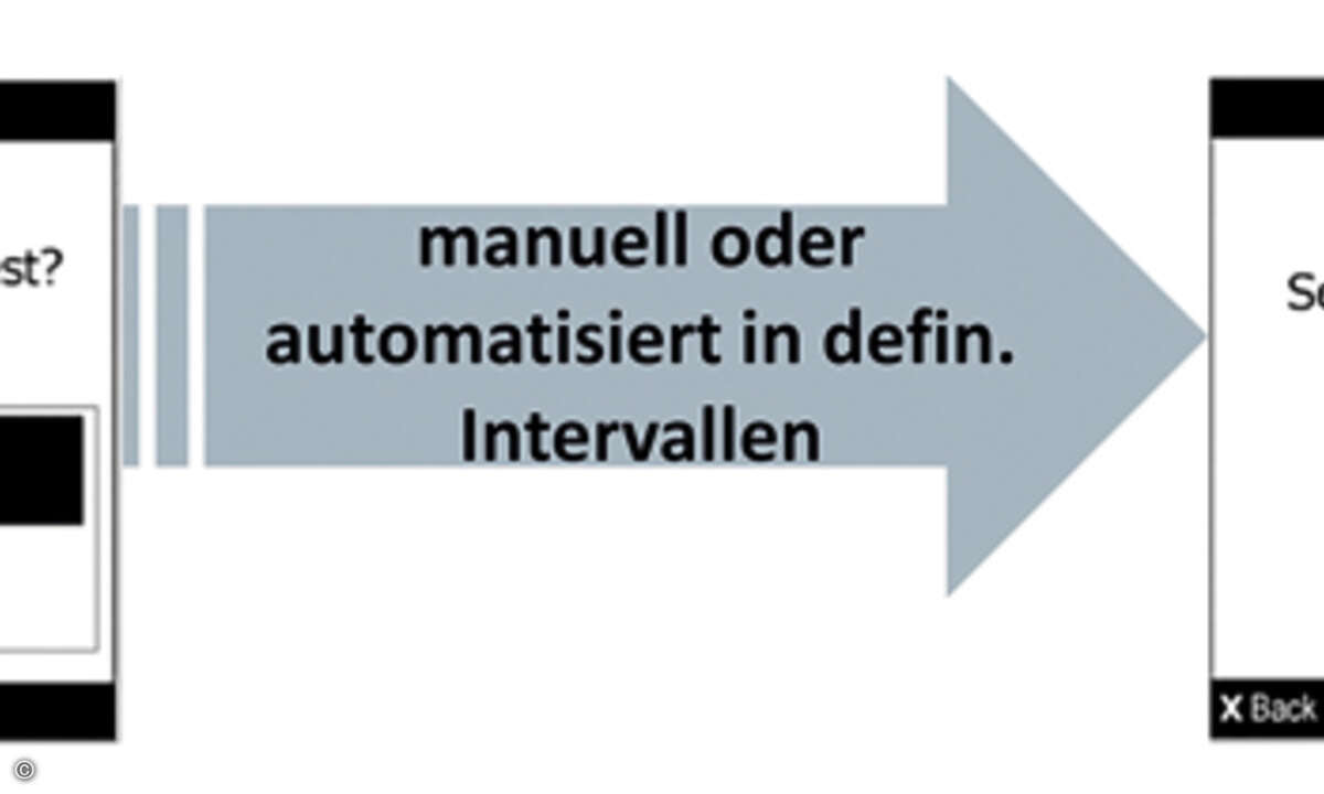Bild 4 Selbsttest RCM_online