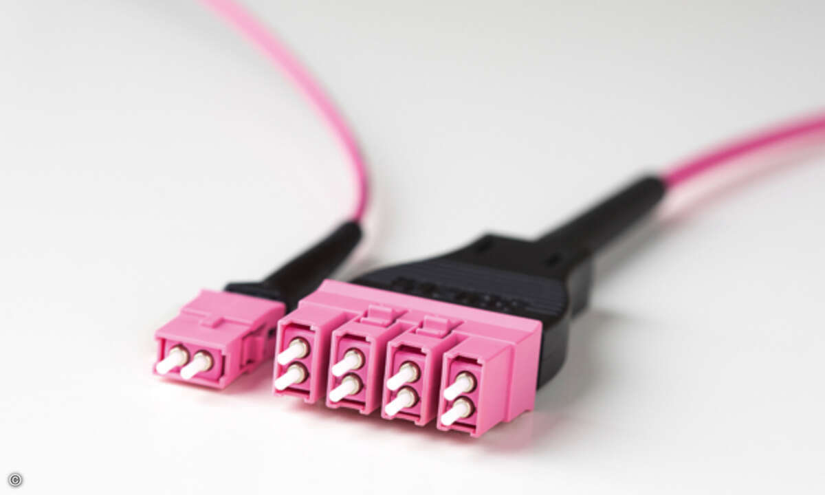 EDGE8 Tap Module , Family Photo