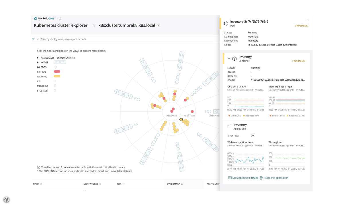 New Relic One - Screenshot2