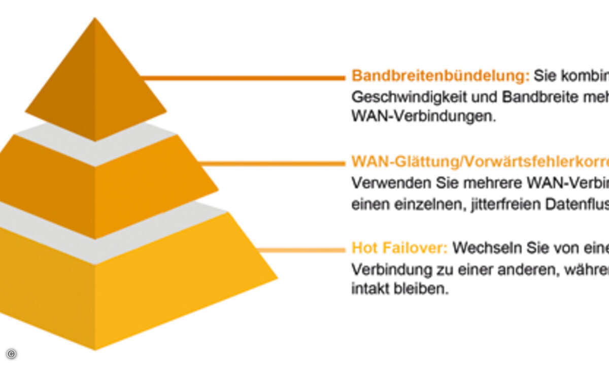 Grafik2_Vitel