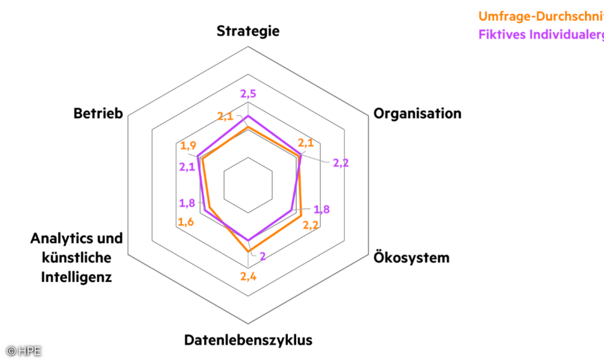 Fiktives Beispiel für ein Self-Assessment im Vergleich zu den Umfrageergebnissen.