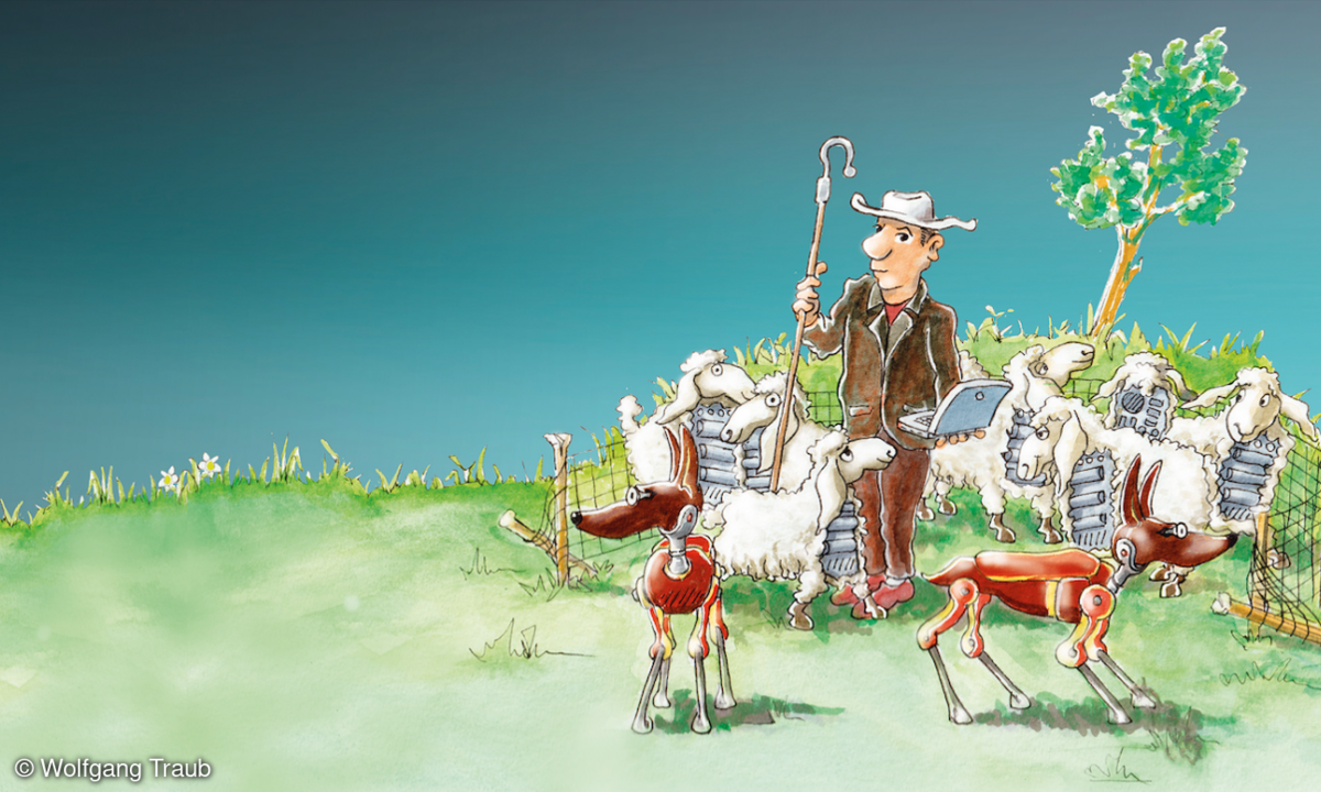 LANline-Cartoon Managed Security