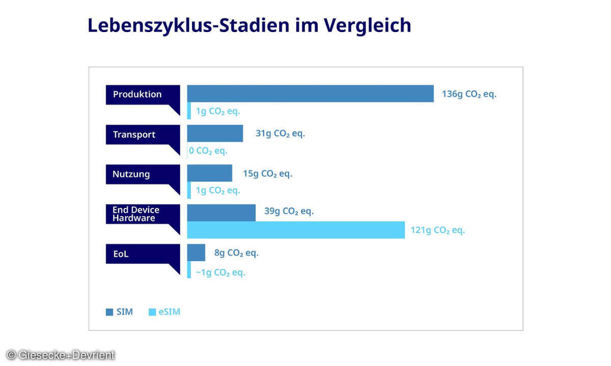 Unterschiede in den verschiedenen Stadien des Lebenszyklus