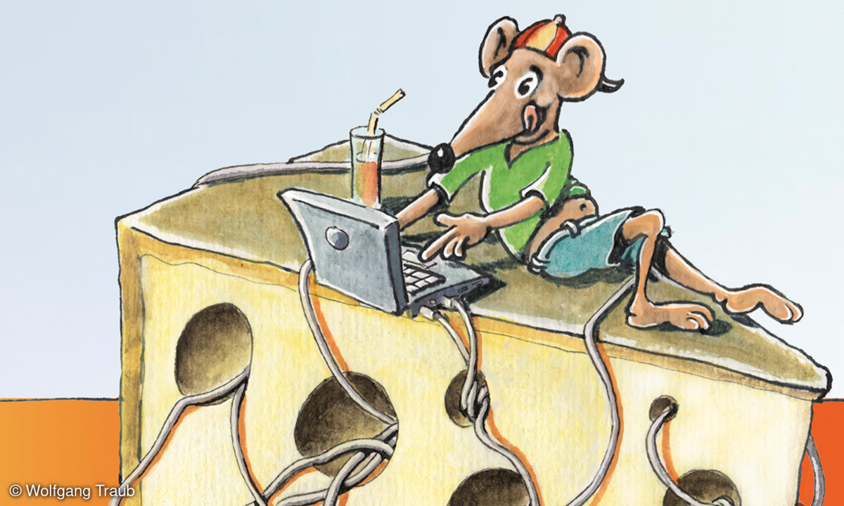 LANline-Cartoon