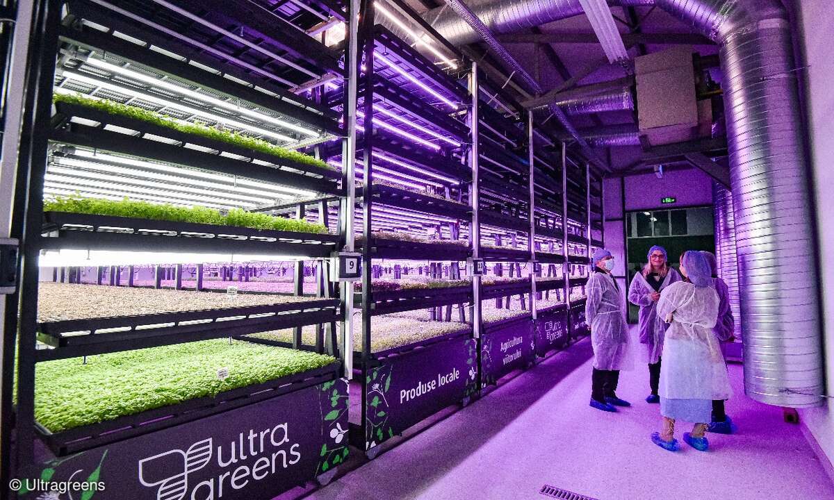 Vertical Farming
