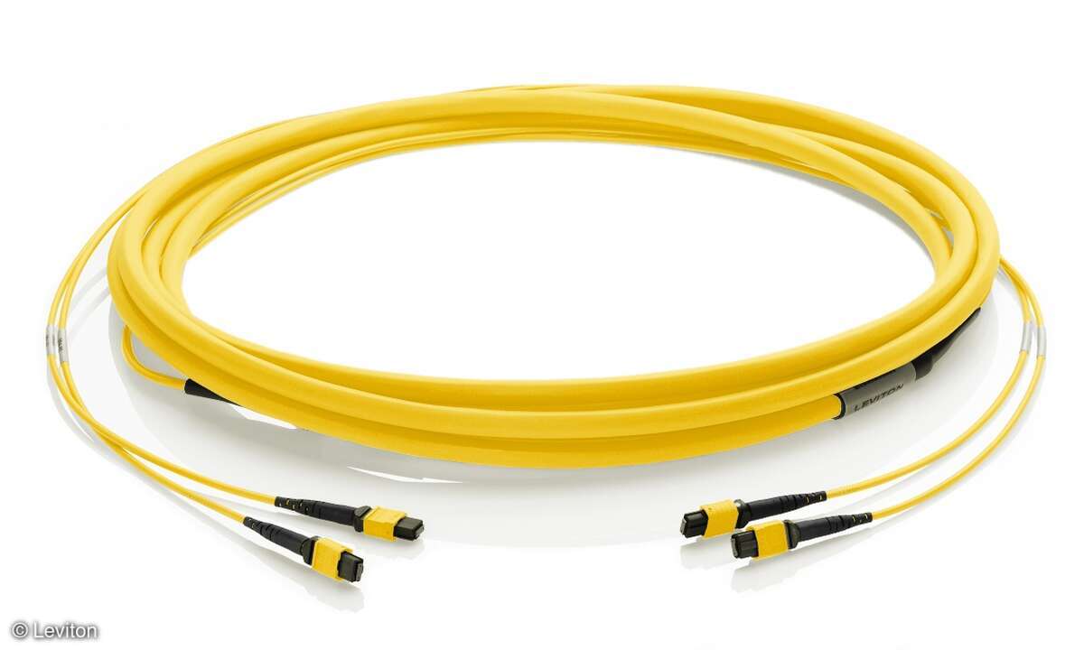 Trunk-Kabel von Leviton