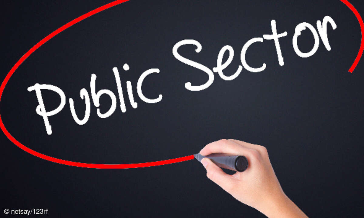 Pubic Sector