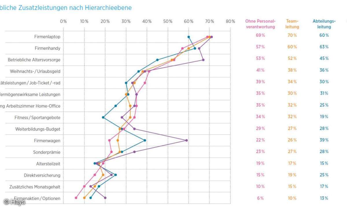 Zusatzleistungen, IT-Gehaltsreport 2023 Hays