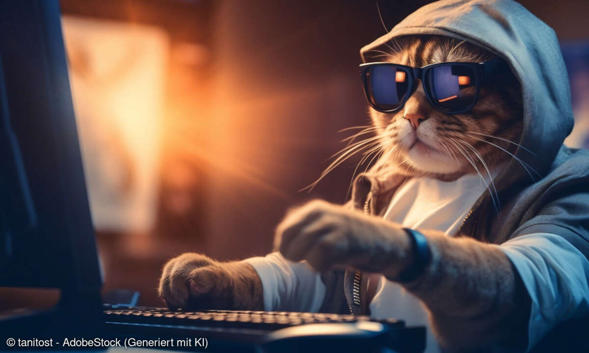 Katze am PC