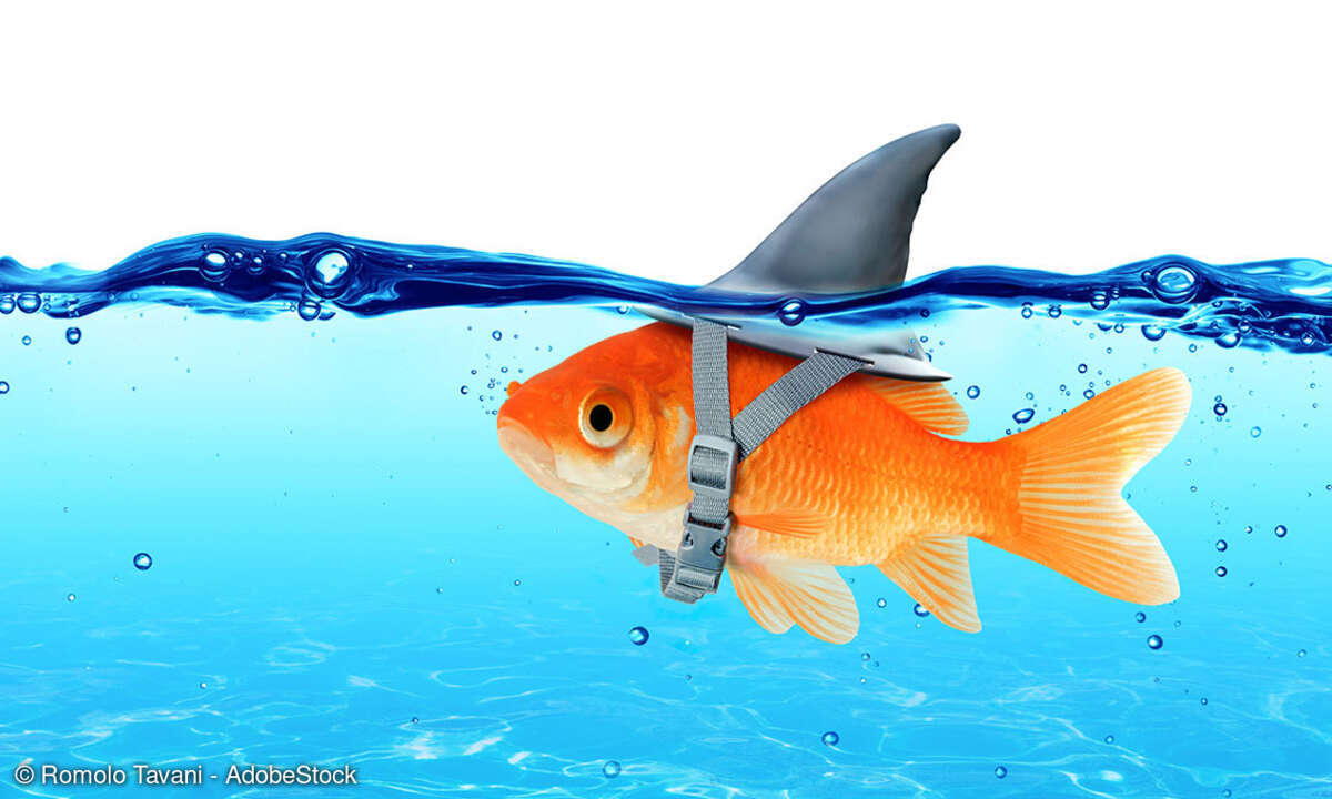 Microsoft_Advertorial_1_Quelle_Romolo Tavani_AdobeStock.jpg