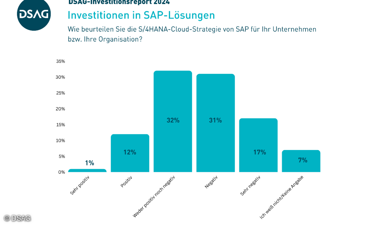 DSAG-Investitionsreport 2024