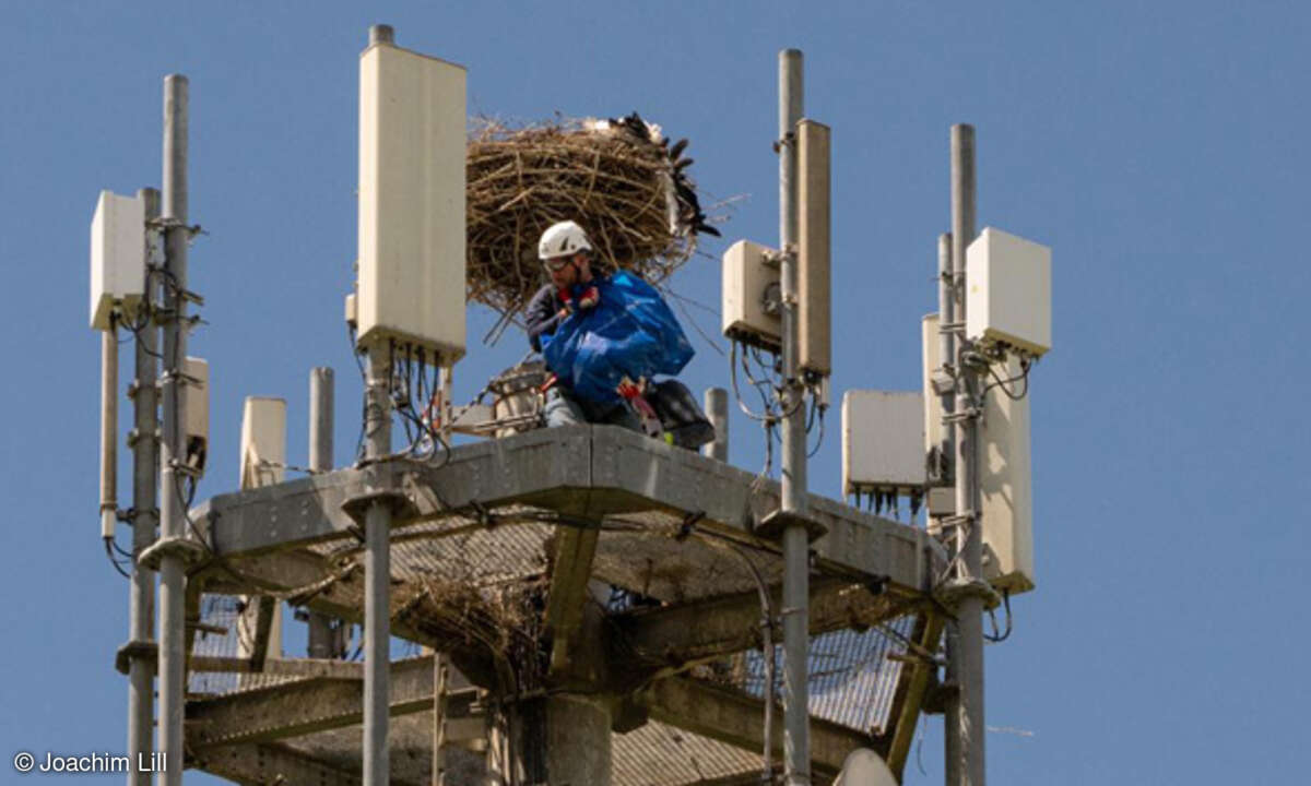 Vodafone Mobilfunk Storch