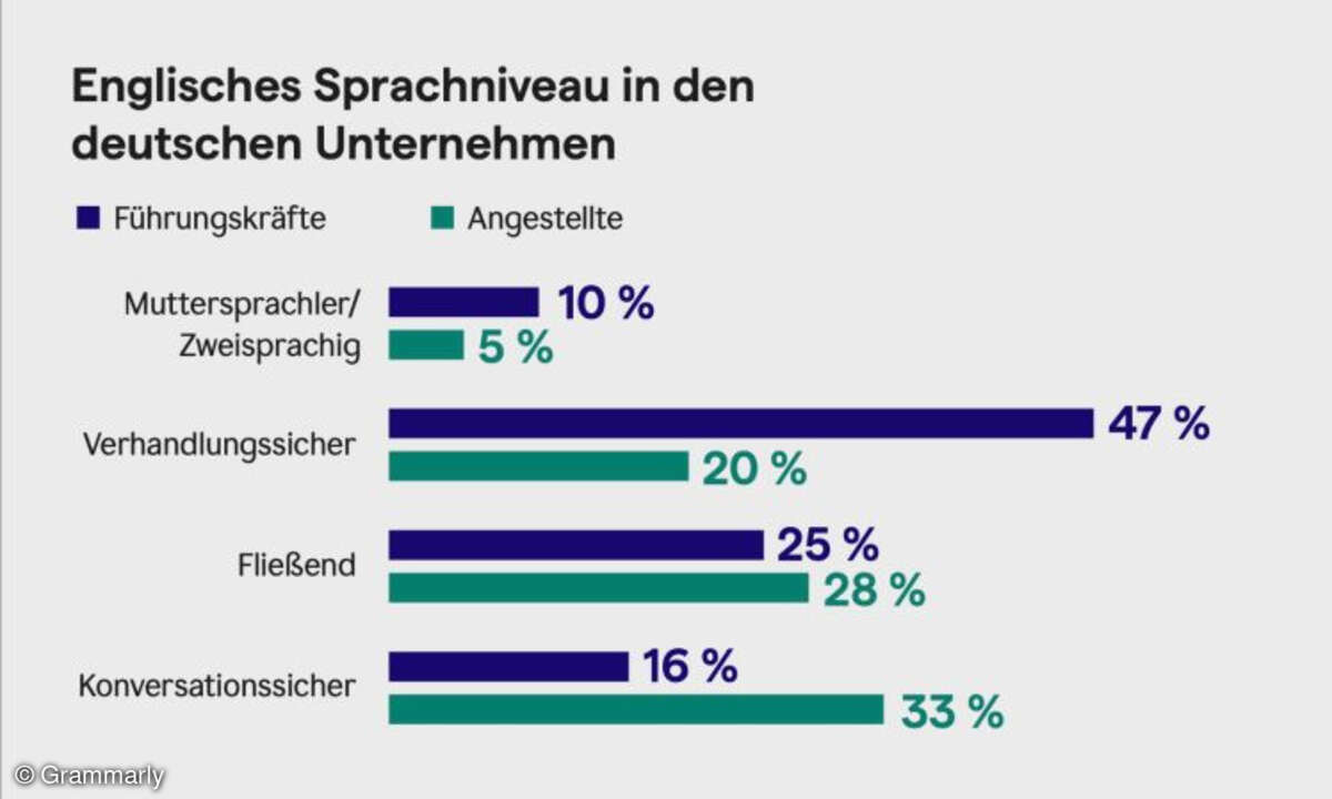 Englisches Sprachniveau in den deutschen Unternehmen