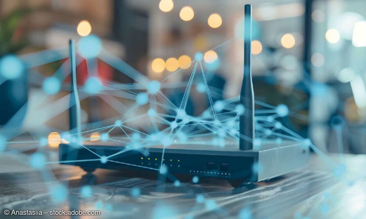 Business-Router, Vernetzung, Connectivity