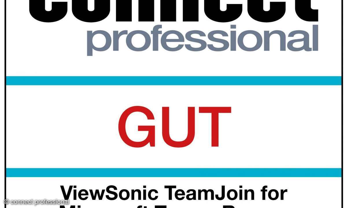 Siegel ViewSonic TeamJoin MRT November 2024