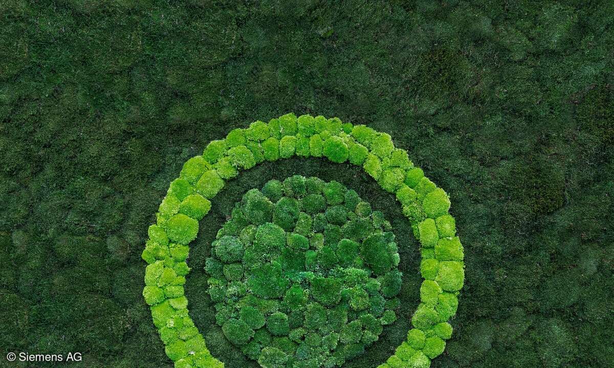 Sustainibility
