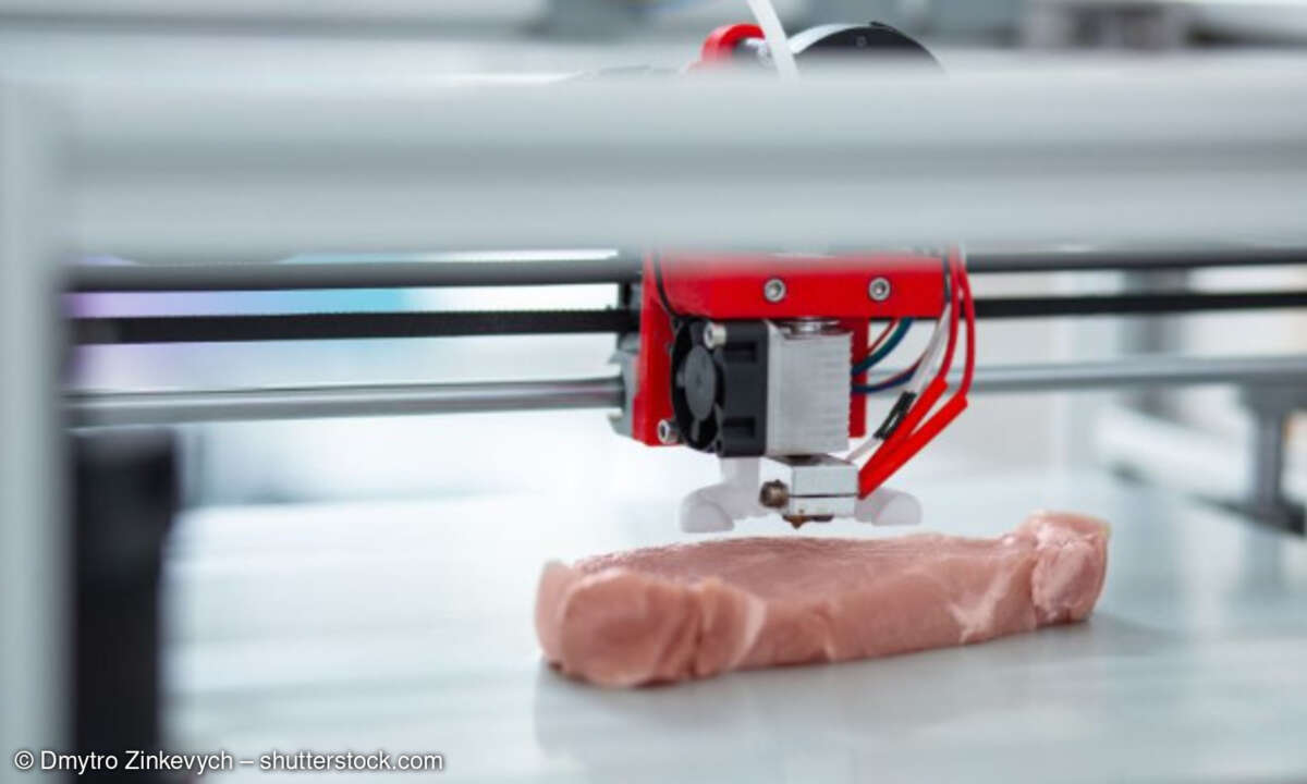 Fleisch aus 3D-Drucker