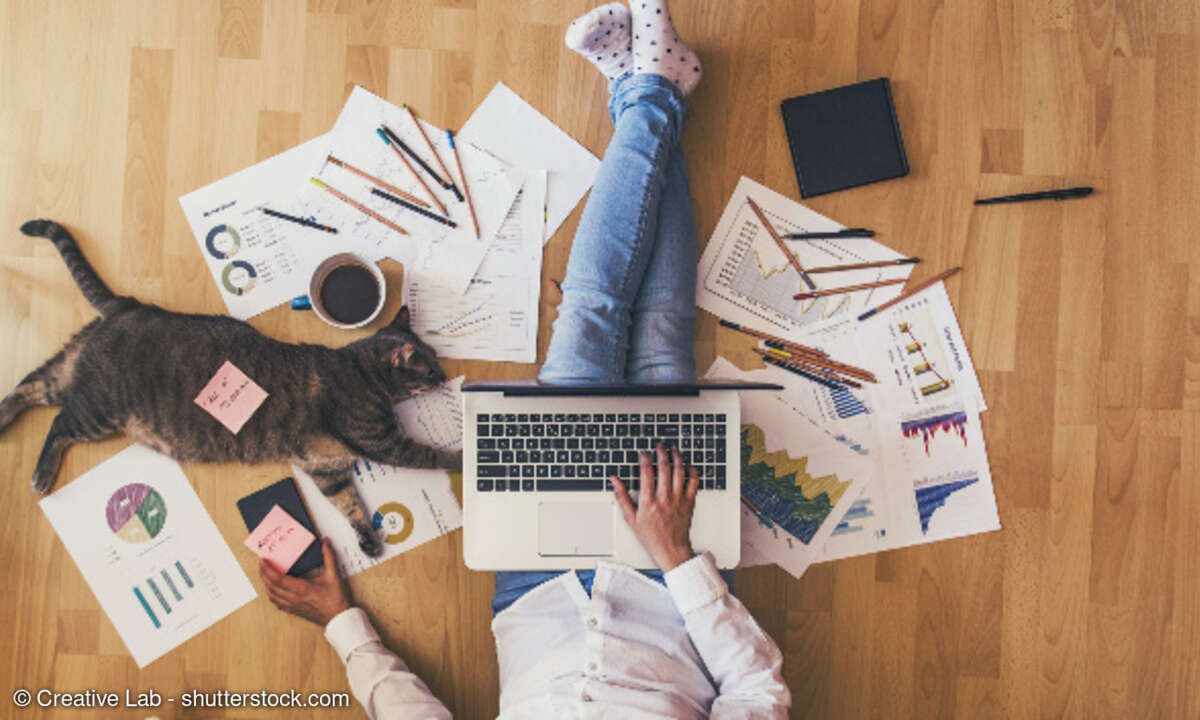 Design Offices: Homeoffice-Studie