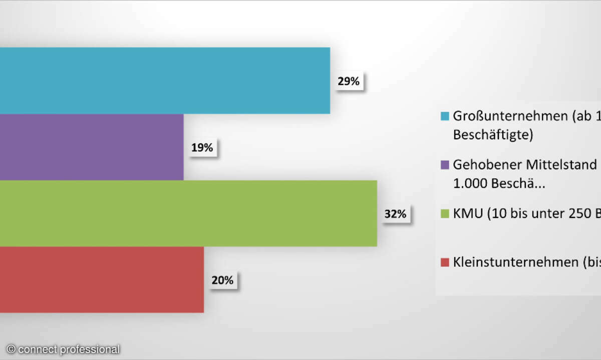Größe der Unternehmen poty25