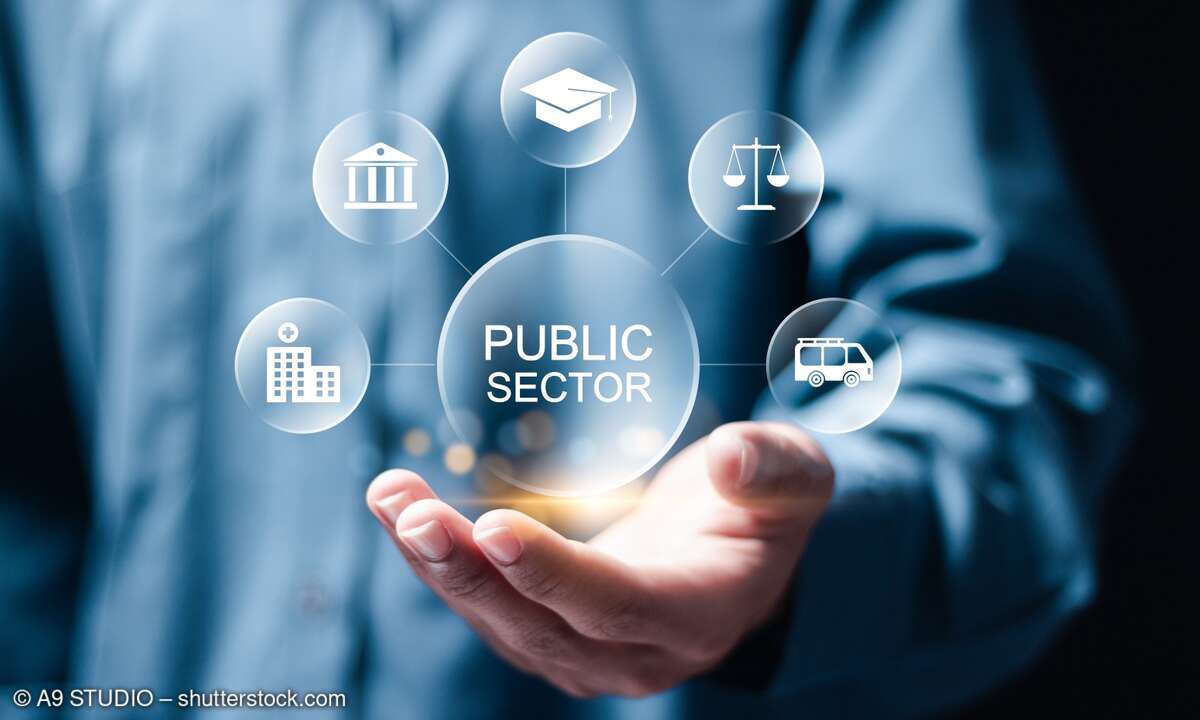 Public Sector