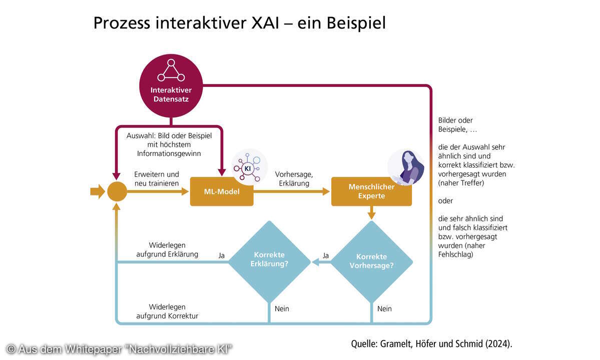 Prozess interaktiver XAI