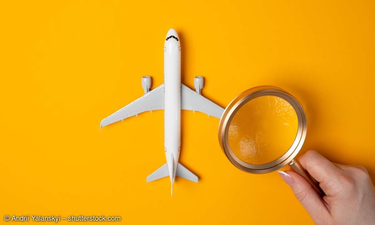 Flugzeug unter der Lupe